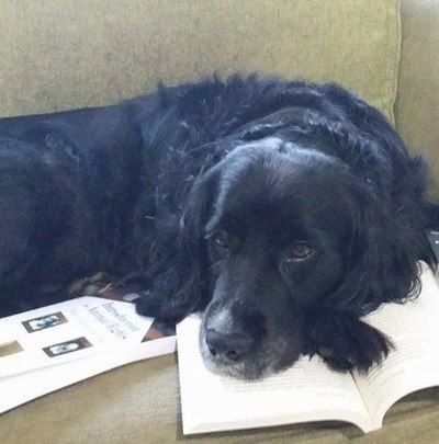 Image: 2018-01/10538448-826008250752264-5952517418999903193-n.jpg