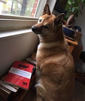 Image: 2018-01/1516970537_elycdog.jpg