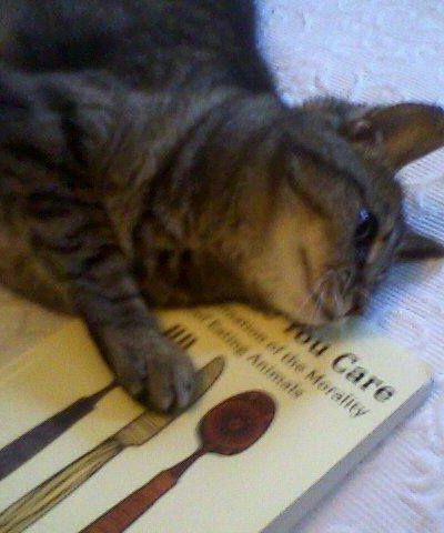 Image: 2018-01/elyc1.jpg