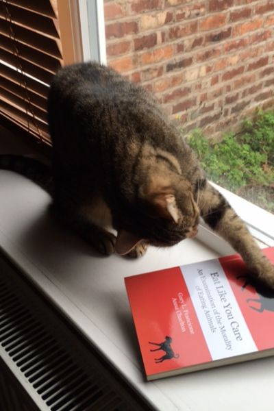 Image: 2018-01/elyc3.jpeg