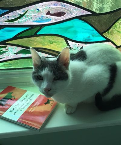 Image: 2018-01/elyc5.jpeg