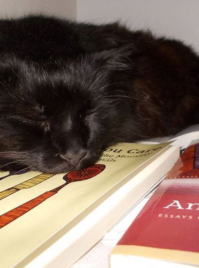 Image: 2018-01/elycold.jpg